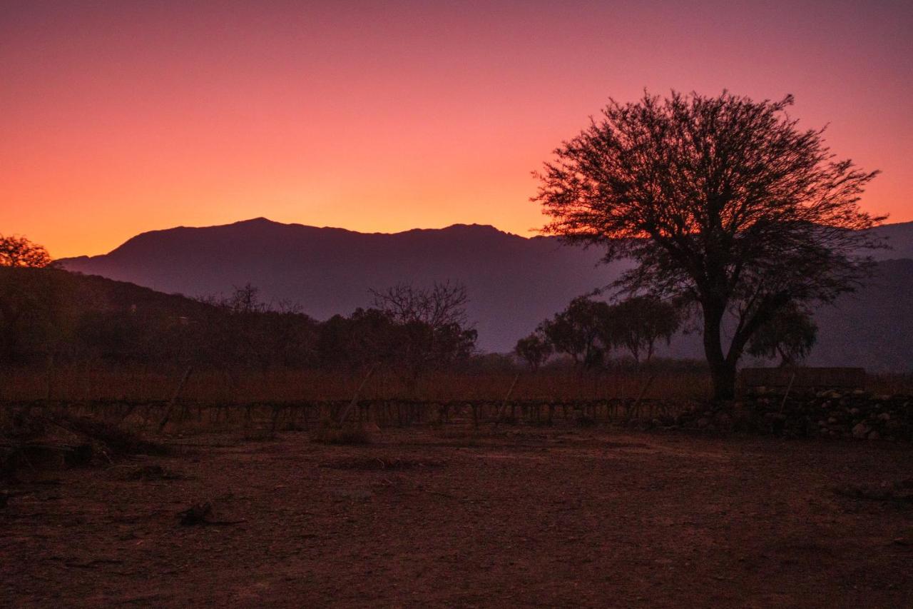 Hospedaje Finca La Encantada Seclantás Esterno foto