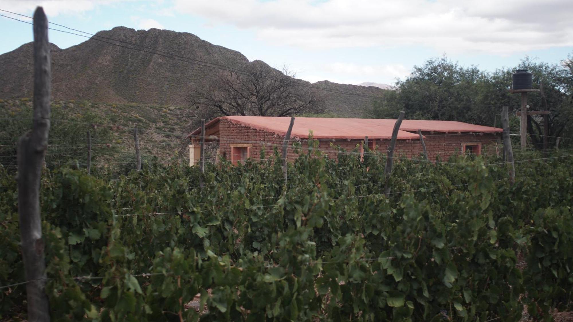 Hospedaje Finca La Encantada Seclantás Esterno foto