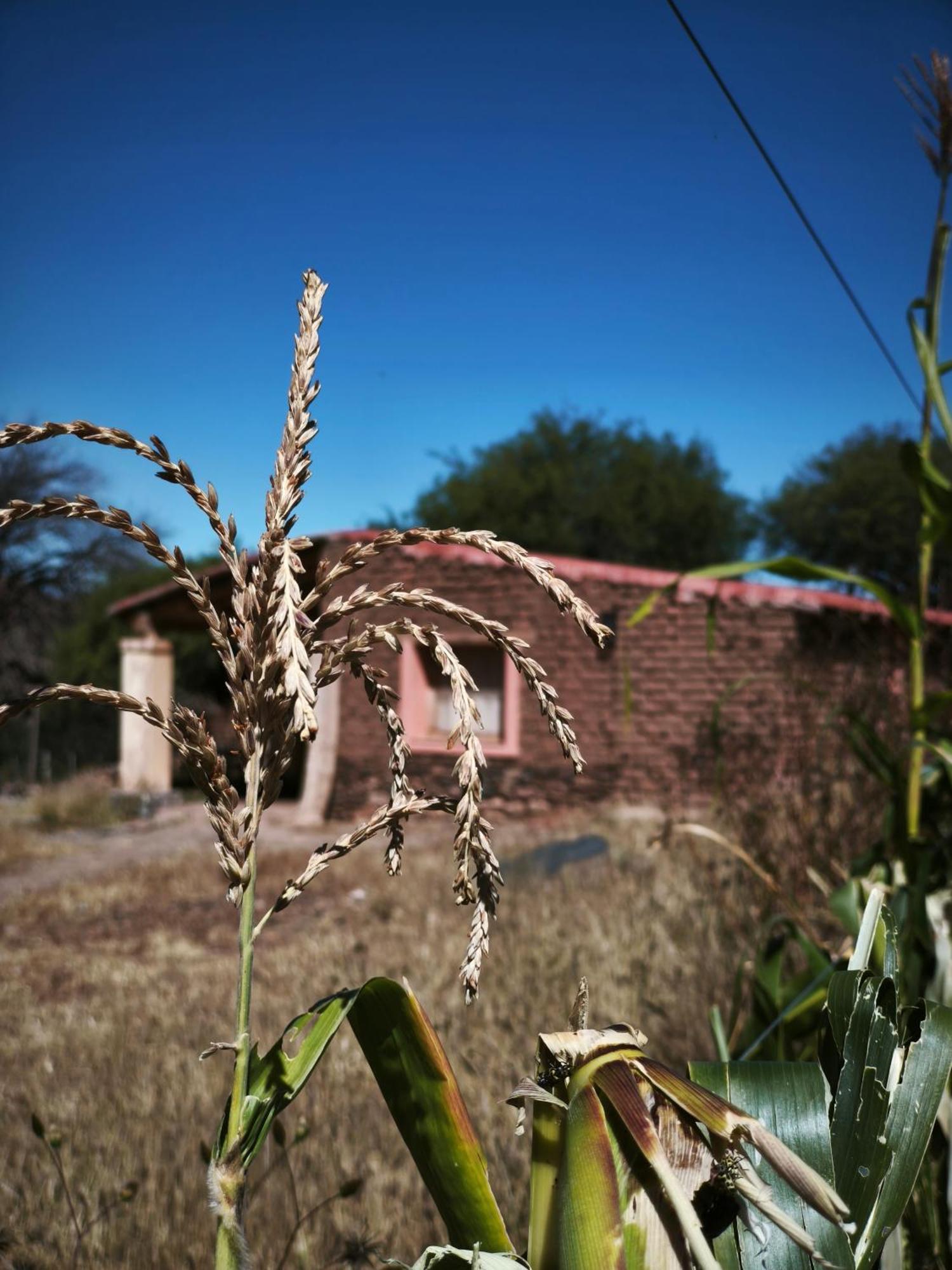 Hospedaje Finca La Encantada Seclantás Esterno foto
